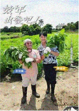 成都私人影院加盟综艺放映格的圆桌与灯光布置示意